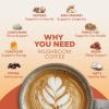 imageRYZE SUPERFOODS Day  Night Bundle with Mushroom Coffee and RYZE Hot Cocoa USDA Organic Mushroom Coffee with 6 Adaptogenic Mushrooms ampamp MCT Oil Hot Cocoa Keto Sleep Aid with Melatonin 3020 Serving