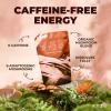 imageRYZE SUPERFOODS Mushroom Chicory with 6 Organic Adaptogenic Mushrooms Keto Decaf Coffee with Chicory Root for Energy Focus Digestion Immunity with Lions Mane Turkey Tail Shiitake 30 servings