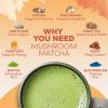 imageRYZE SUPERFOODS Ultimate Energy Bundle USDA Organic Mushroom Coffee ampamp Mushroom Matcha  Probiotic Creamer with 6 Adaptogenic Mushrooms for Better Energy Focus Digestion Immunity 30 serving each