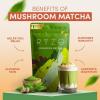 imageRYZE SUPERFOODS Ultimate Energy Bundle Medium Roast USDA Organic Mushroom Coffee ampamp Mushroom Matcha  Probiotic Creamer with 6 Adaptogenic Mushrooms for Better Energy Focus Digestion Immunity 30 serving each
